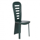 Dining Chair (FX-9821)
