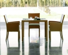 Rattan Dining Table and Chairs Set (RZ1939)