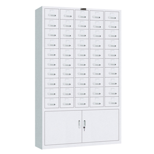 Document Cabinet (YH09-029)