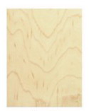 Engineered Flooring (Maple)