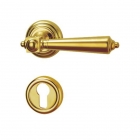 Brass Door Handle (1817BJ-PVD)