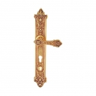 Brass Door Handle (U518-798L-AG)