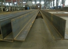 Steel Structure (SSP06)