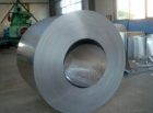 Galvanized Steel Coil (44)