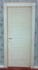 PVC door