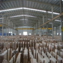 Xiamen Sidatong Import & Export Co., Ltd.