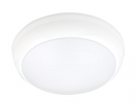 LED Ceiling Light   C016-10