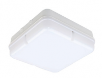 LED Ceiling Light   C016-30