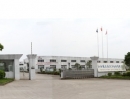 Jiangxi Dellsun Auto Motor Co., Ltd.