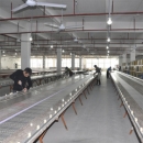 Sling Ribbon & Bows Co.&sbquo; Ltd.
