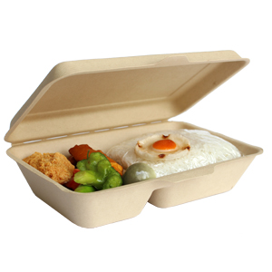 Take away biodegradable food container
