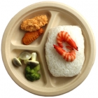 Compostable Biodegradable Dinner Plate