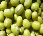 Green mung bean-Mung bean