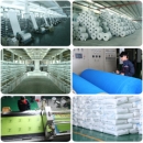 Wenzhou Guohong Packaging Co., Ltd.