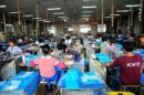 TC Packaging (Xiongxian) Factory