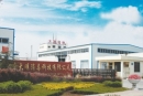 Shandong Daming Science And Technology Co., Ltd.