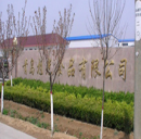 Qingdao Xuguang Foodstuff Co., Ltd.