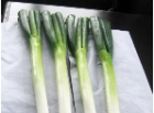 Fresh Vegetable   scallion03