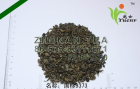 Green Teas   9373
