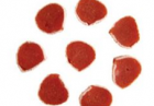 Pet Foods   CNKR&mdash;10