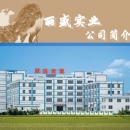 Shantou Lisheng Industrial Co., Ltd.