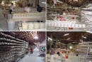 Raoping Town Xinfeng Guangyang Porcelain Art Factory