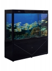 Aquarium Tank