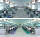 Guangdong Boyu Group Co., Ltd.