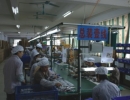 Guangzhou Dannol Electronics Manufacturing Ltd.
