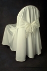 Poly Chair Cover