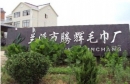 Lanxi Tenghui Towel Factory