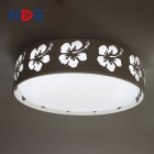 Ceiling Lights&nbsp;