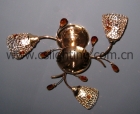Ceiling Lights&nbsp;