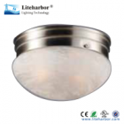 Ceiling Lights&nbsp;