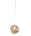 Ceiling Lights&nbsp;
