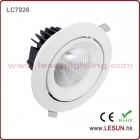 Ceiling Lights&nbsp;